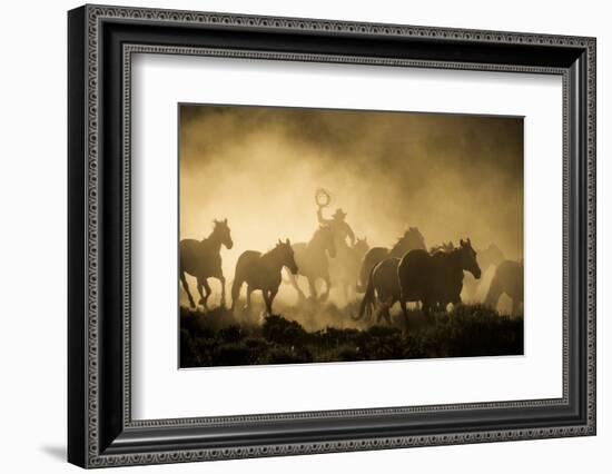 A wrangler herding horses through backlit dust cloud in golden light of sunrise-Sheila Haddad-Framed Photographic Print