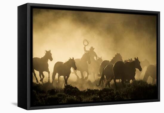 A wrangler herding horses through backlit dust cloud in golden light of sunrise-Sheila Haddad-Framed Premier Image Canvas