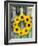 A Wreath of Sunflowers Hanging on a Fence-Alena Hrbkova-Framed Photographic Print