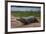 A Yacare caiman (Caiman crocodylus yacare), on a river bank, Cuiaba river, Pantanal, Mato Grosso, B-Sergio Pitamitz-Framed Photographic Print