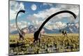 Premium Giclee Print