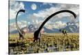 Stretched Canvas Print