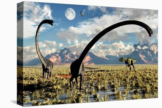 Stretched Canvas Print, , large