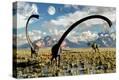Stretched Canvas Print