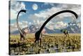 Stretched Canvas Print