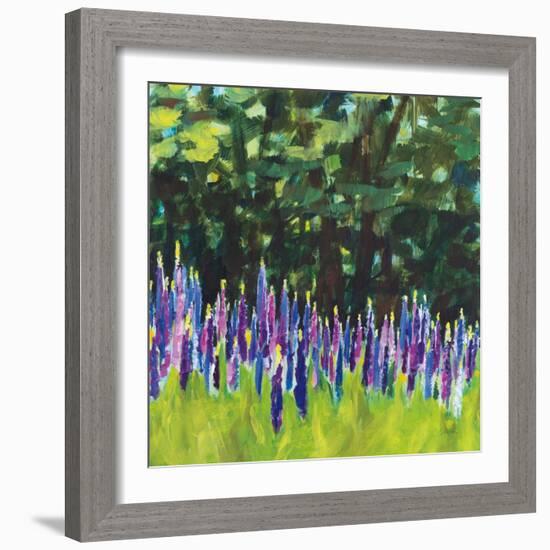 A Year of Lupines-Sue Schlabach-Framed Art Print