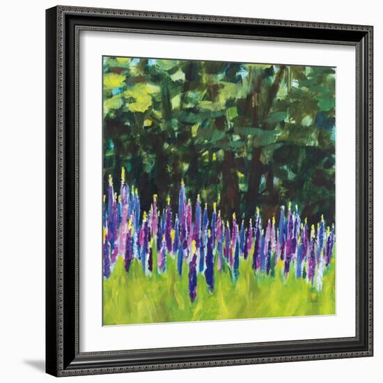 A Year of Lupines-Sue Schlabach-Framed Art Print