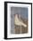 A Yellow Dove-Maria Pietri Lalor-Framed Giclee Print