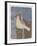 A Yellow Dove-Maria Pietri Lalor-Framed Giclee Print