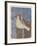 A Yellow Dove-Maria Pietri Lalor-Framed Giclee Print