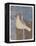 A Yellow Dove-Maria Pietri Lalor-Framed Premier Image Canvas