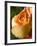 A Yellow Rose-Jana Liebenstein-Framed Photographic Print