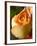 A Yellow Rose-Jana Liebenstein-Framed Photographic Print