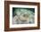 A Yellow Stingray Swims Beneath a Pier Off the Coast of Belize-Stocktrek Images-Framed Photographic Print