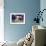 A Young Adult Standing over an Open Book-Carolina Hernández-Framed Photographic Print displayed on a wall