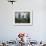 A Young Afghan Refugee Boy Stands in a Pair of Adult's Shoes-null-Framed Photographic Print displayed on a wall