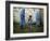 A Young Afghan Refugee Boy Stands in a Pair of Adult's Shoes-null-Framed Photographic Print