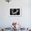 A Young Ballerina Practicing in the Hall, Black and White-momente-Framed Photographic Print displayed on a wall