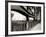 A Young Boy on Tip Toes to Get a View from the Bridge, 1959-null-Framed Photographic Print