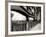 A Young Boy on Tip Toes to Get a View from the Bridge, 1959-null-Framed Photographic Print