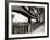 A Young Boy on Tip Toes to Get a View from the Bridge, 1959-null-Framed Photographic Print