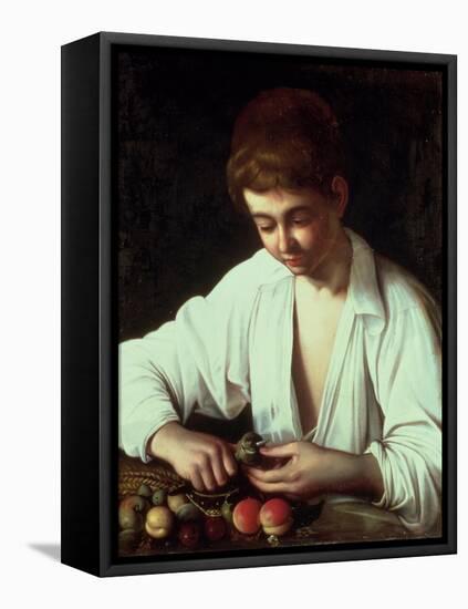 A Young Boy Peeling an Apple-Caravaggio-Framed Premier Image Canvas