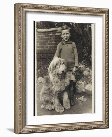 A Young Boy, Poses for His Photograph with His Pet Old English Sheepdog-null-Framed Photographic Print