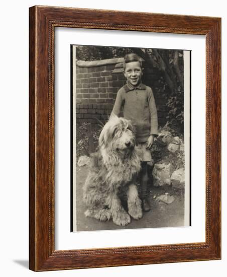 A Young Boy, Poses for His Photograph with His Pet Old English Sheepdog-null-Framed Photographic Print