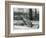 A Young Elephant Seal Reaching Backwards, London Zoo, 1930 (B/W Photo)-Frederick William Bond-Framed Giclee Print