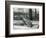 A Young Elephant Seal Reaching Backwards, London Zoo, 1930 (B/W Photo)-Frederick William Bond-Framed Giclee Print