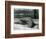 A Young Elephant Seal Reaching Backwards, London Zoo, 1930 (B/W Photo)-Frederick William Bond-Framed Giclee Print