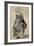 A Young English Woman, 16th Century-Hans Holbein the Younger-Framed Giclee Print