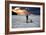 A Young Girl on a Stand Up Paddle Board on Baleia Beach at Sunset-Alex Saberi-Framed Photographic Print