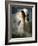 A Young Girl Wearing a White Dress Standing Beside a Horse under the Moonlight-Lynne Davies-Framed Photographic Print