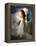 A Young Girl Wearing a White Dress Standing Beside a Horse under the Moonlight-Lynne Davies-Framed Premier Image Canvas