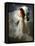 A Young Girl Wearing a White Dress Standing Beside a Horse under the Moonlight-Lynne Davies-Framed Premier Image Canvas