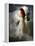 A Young Girl Wearing a White Dress Standing Beside a Horse under the Moonlight-Lynne Davies-Framed Premier Image Canvas