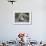 A Young Leucistic Antarctic Fur Seal (Arctocephalus Gazella), Polar Regions-Michael Nolan-Framed Photographic Print displayed on a wall