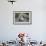 A Young Leucistic Antarctic Fur Seal (Arctocephalus Gazella), Polar Regions-Michael Nolan-Framed Photographic Print displayed on a wall