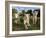 A Young Pride of Male and Female White Lions in the Grass.  South Africa.-Karine Aigner-Framed Photographic Print