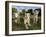 A Young Pride of Male and Female White Lions in the Grass.  South Africa.-Karine Aigner-Framed Photographic Print