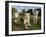 A Young Pride of Male and Female White Lions in the Grass.  South Africa.-Karine Aigner-Framed Photographic Print