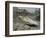 A Young Saltwater Crocodile-null-Framed Photographic Print