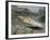 A Young Saltwater Crocodile-null-Framed Photographic Print