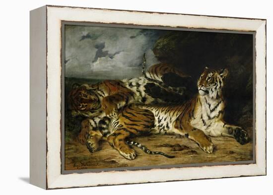 A Young Tiger Playing with Its Mother, 1830-Eugene Delacroix-Framed Premier Image Canvas