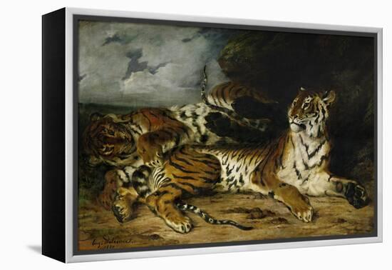 A Young Tiger Playing with Its Mother, 1830-Eugene Delacroix-Framed Premier Image Canvas