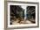 A Young Woman Stretches under Cachoeira Mosquito in Chapada Diamantina National Park-Alex Saberi-Framed Photographic Print