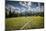 A Young Woman Trail Running in Glacier National Park, Montana-Steven Gnam-Mounted Photographic Print