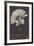 A Young Woman with Long Plaits Sticks Her Head Through a Flower-null-Framed Photographic Print