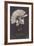 A Young Woman with Long Plaits Sticks Her Head Through a Flower-null-Framed Photographic Print